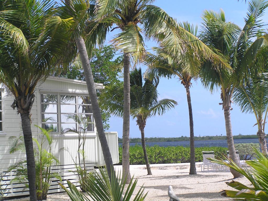 Parmer'S Resort Little Torch Key Exterior photo